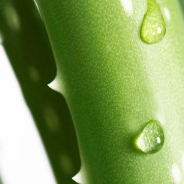 Hva er Green Peel